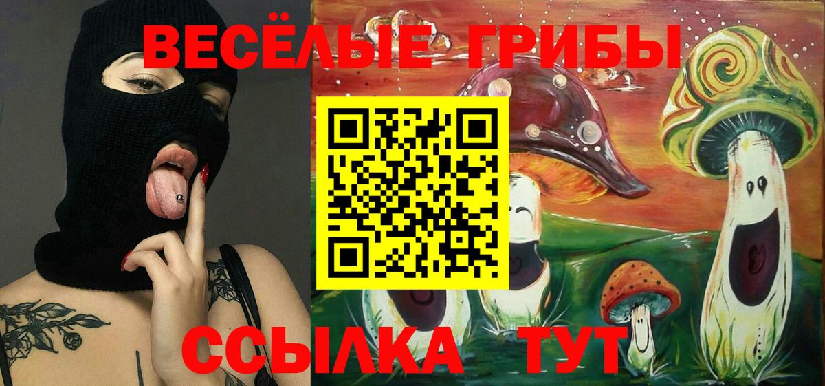 Новый Уренгой  Галлюциногенные грибы Cubensis  Вход с VPN 